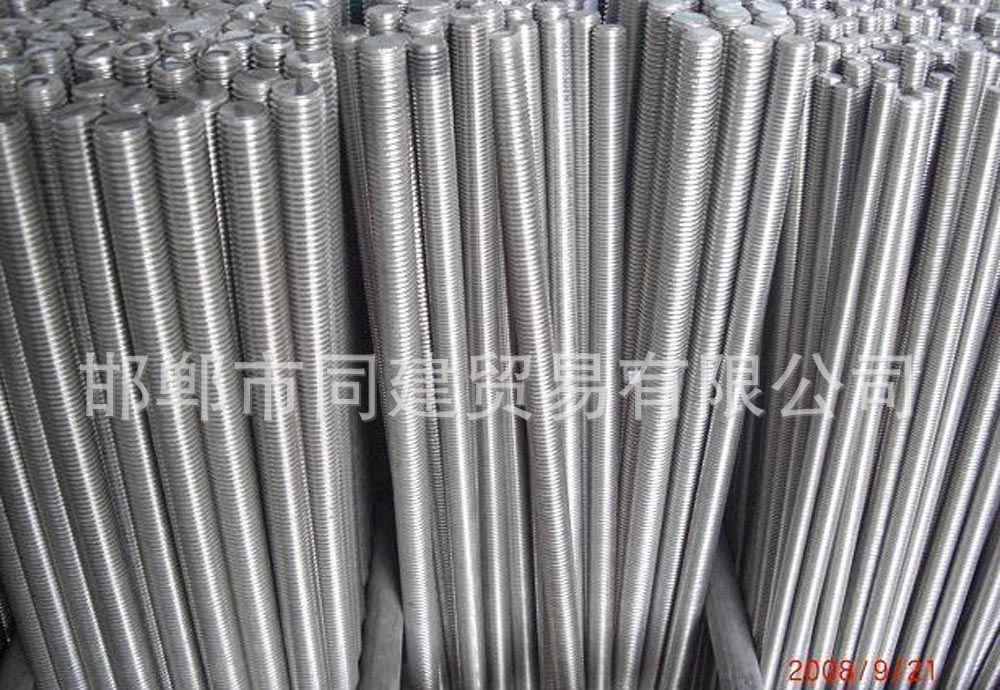 廠(chǎng)家直銷(xiāo) 國(guó)標(biāo)4.8級(jí)絲桿 全扣絲桿全牙螺桿鍍鋅藍(lán)白全牙絲桿