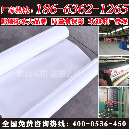 bs-pet自粘防水卷材連城生產廠家