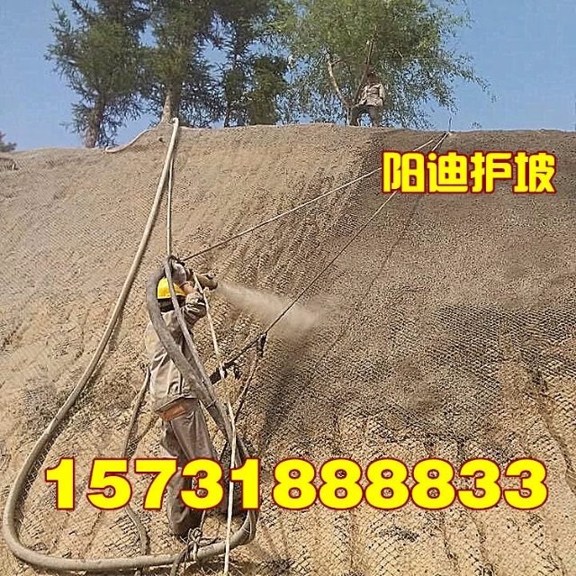十堰客土噴播，武漢邊坡綠化，湖北山體錨噴，黃石掛網(wǎng)噴漿，荊州混凝土噴漿，陽迪公司