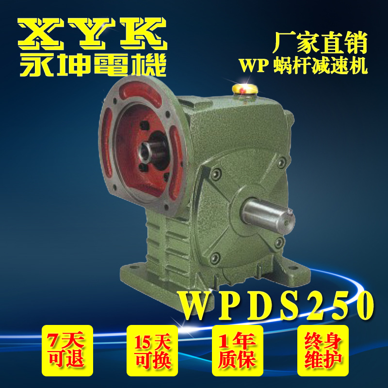 WPDA/WPDS/WPDZ250蝸輪蝸桿減速機(jī) 11KW/15KW三相異步電動(dòng)機(jī)輸入