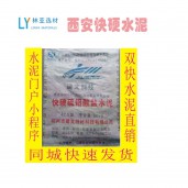 供應(yīng)42.5級(jí)早強(qiáng)發(fā)泡早強(qiáng)硫鋁酸鹽快硬水泥
