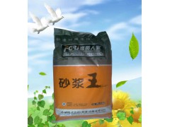 現(xiàn)貨砂漿王 西安砂漿王廠家