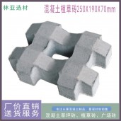 井字植草磚、停車(chē)場(chǎng)彩色植草磚、草坪磚、西安九孔草坪磚